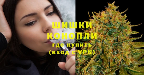 стаф Елизово