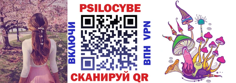Купить где  Городовиковск  Галлюциногенные грибы Cubensis 
